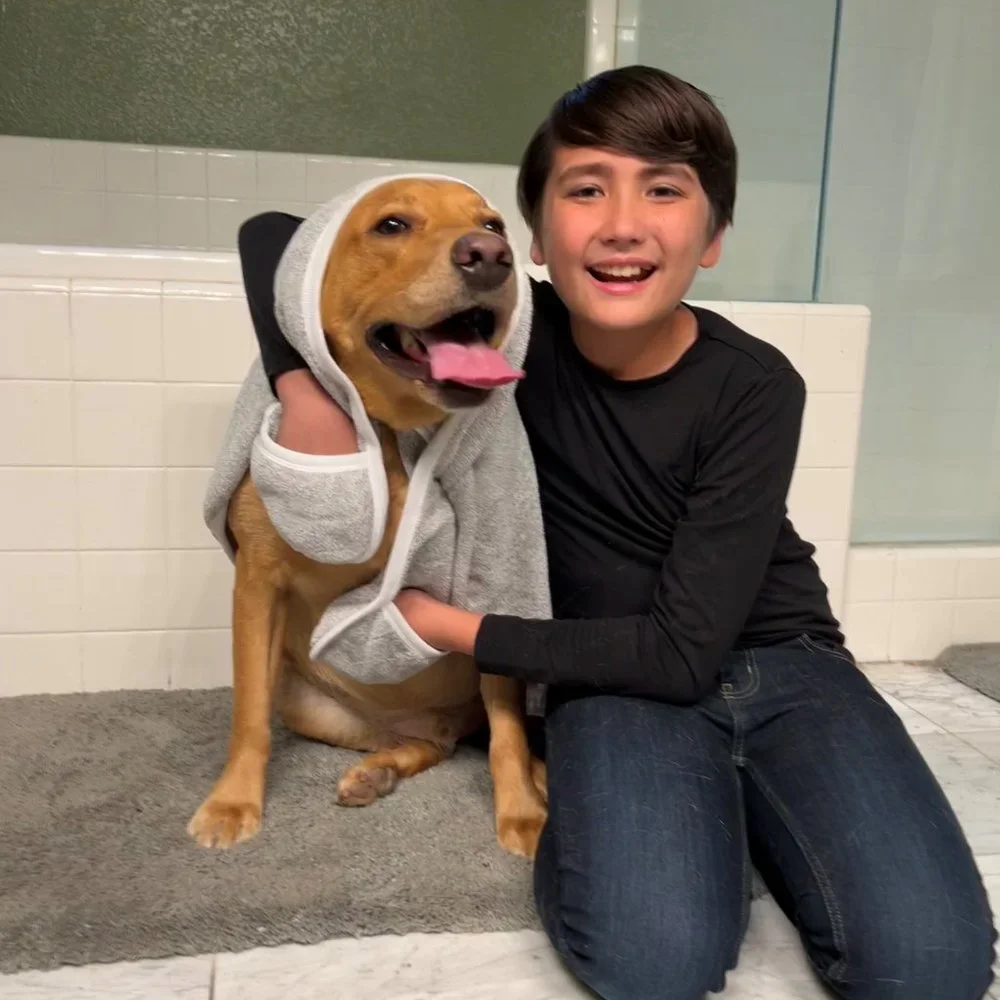 Milo's Choice Microfiber Pet Towel with Ear Shaped Drying Pockets